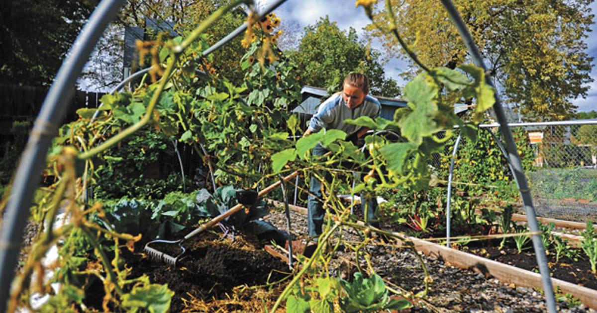 Community Gardens | Outside Bozeman