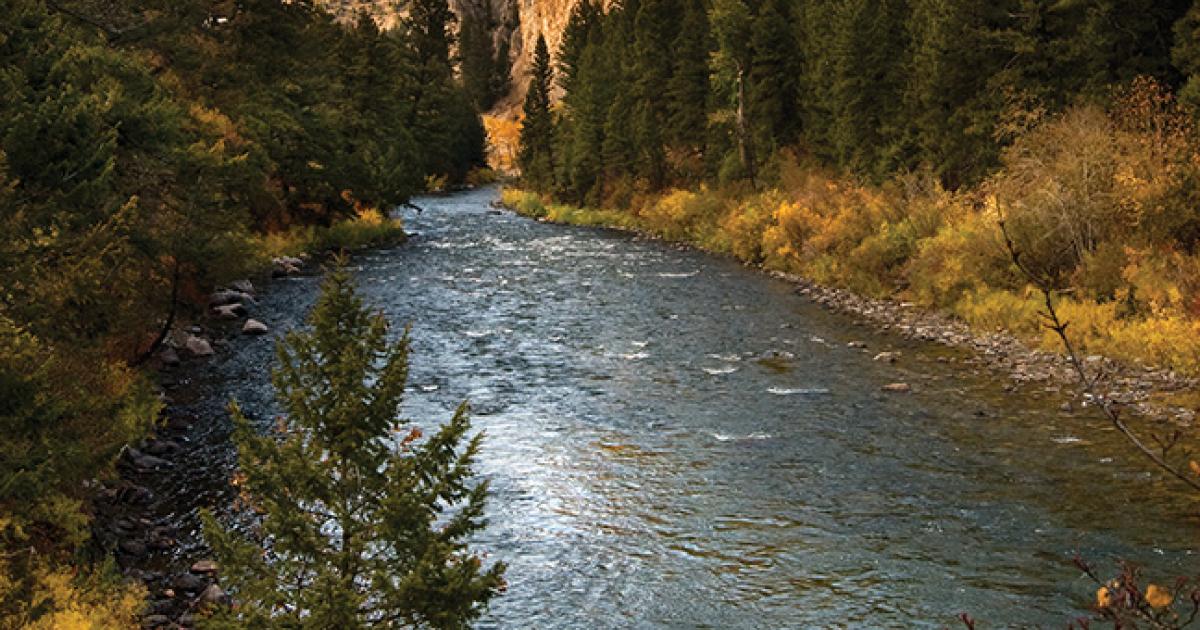 World's best Fly Fishing. Gallatin River in Big Sky Montana. 