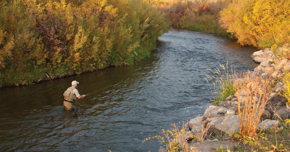 Hiding In Plain Sight | Outside Bozeman