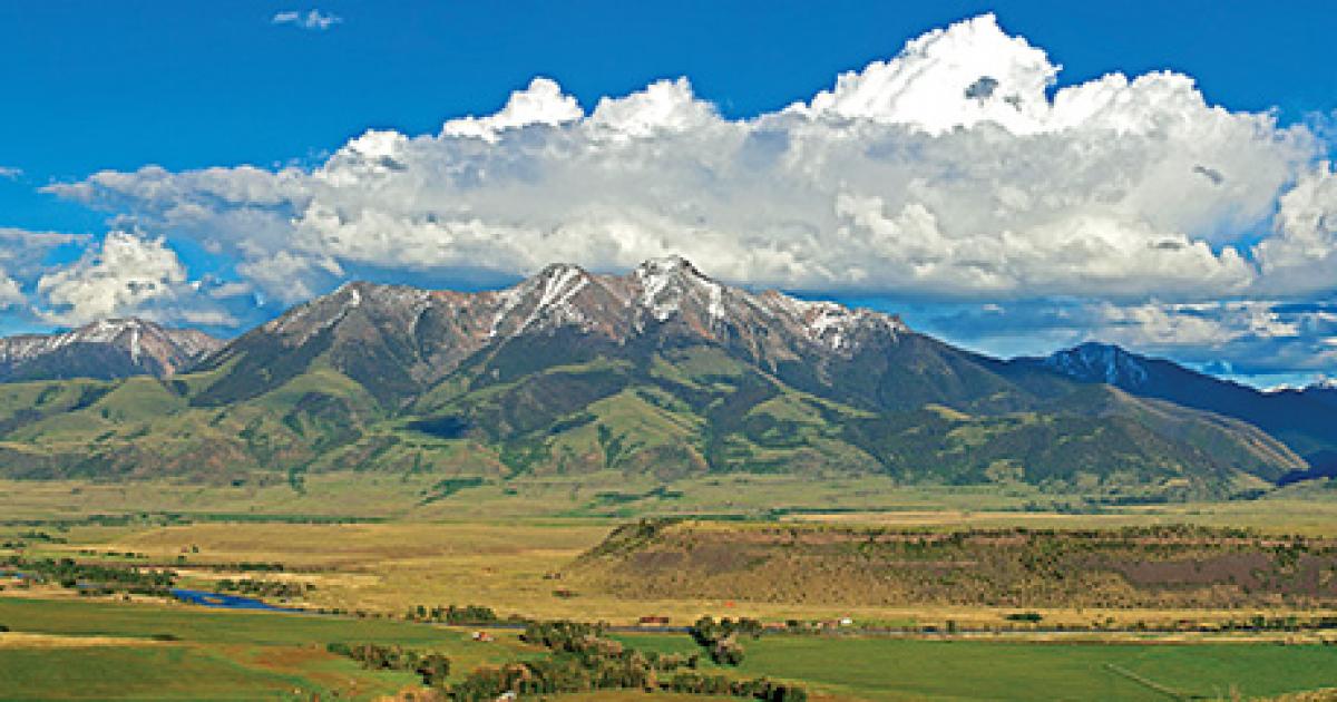 Chico in Colorado, 40 YEARS