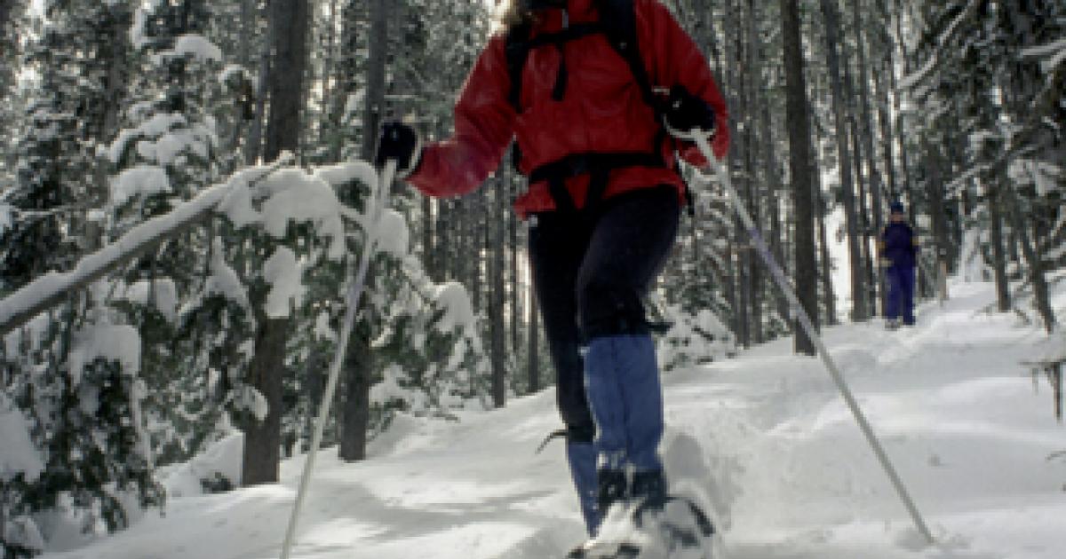 Snowshoeing with Wildlife Outside Bozeman