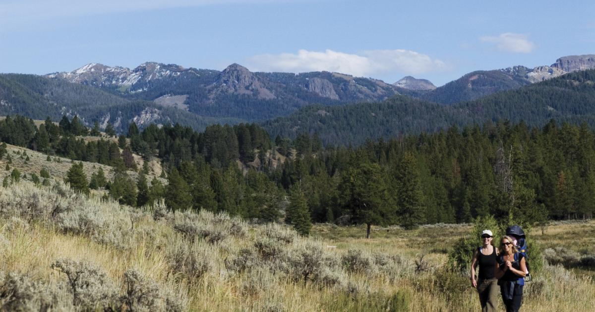 Porcupine shop creek trailhead