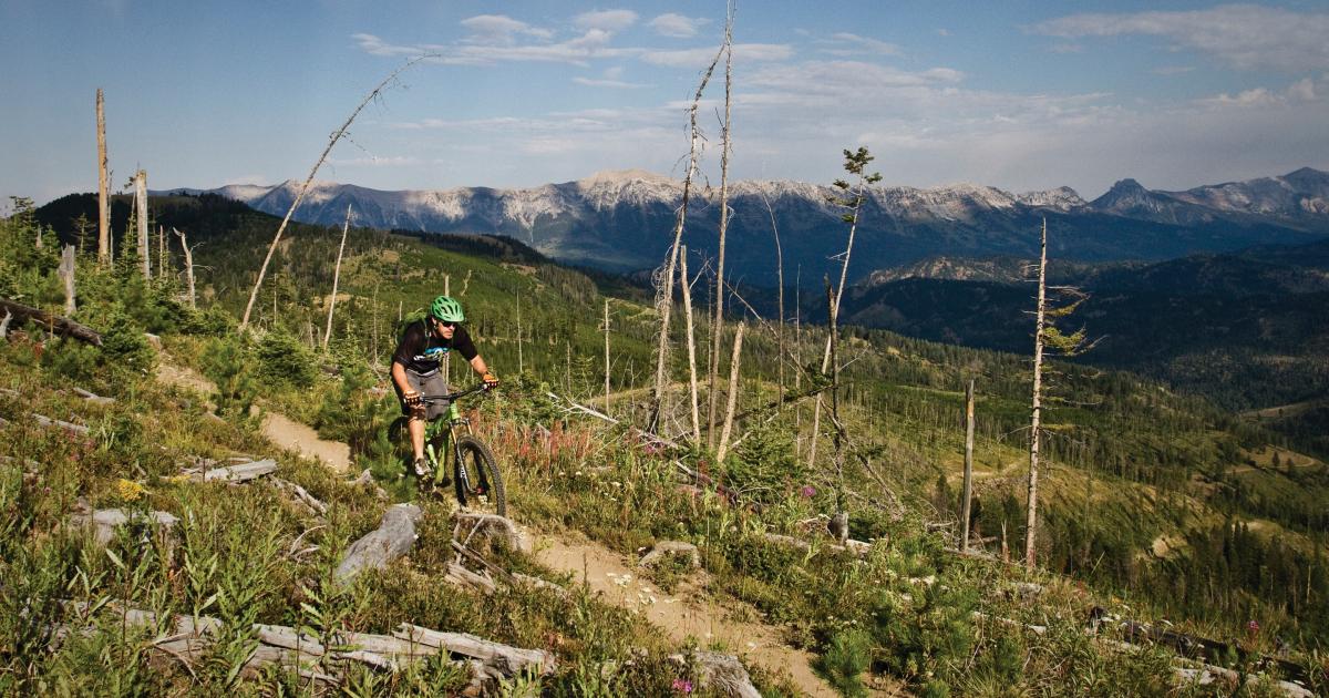 The Most Technical Mountain Bike Trails in the World - Singletracks  Mountain Bike News