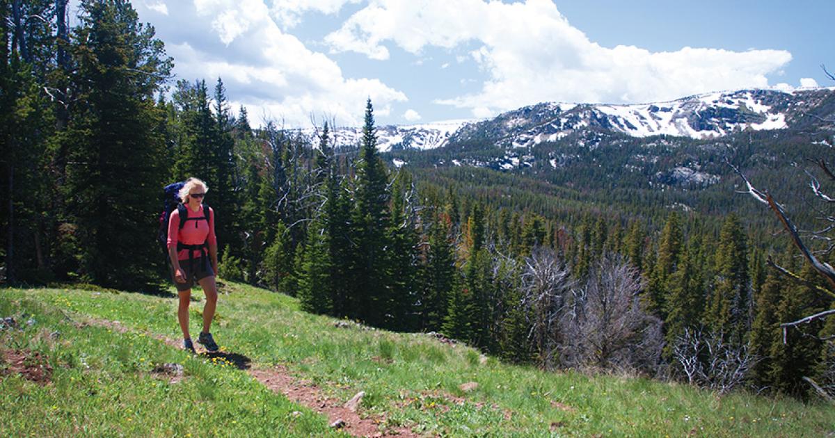 Proven Gilty Outside Bozeman