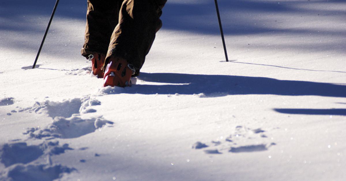 shin bang skiing