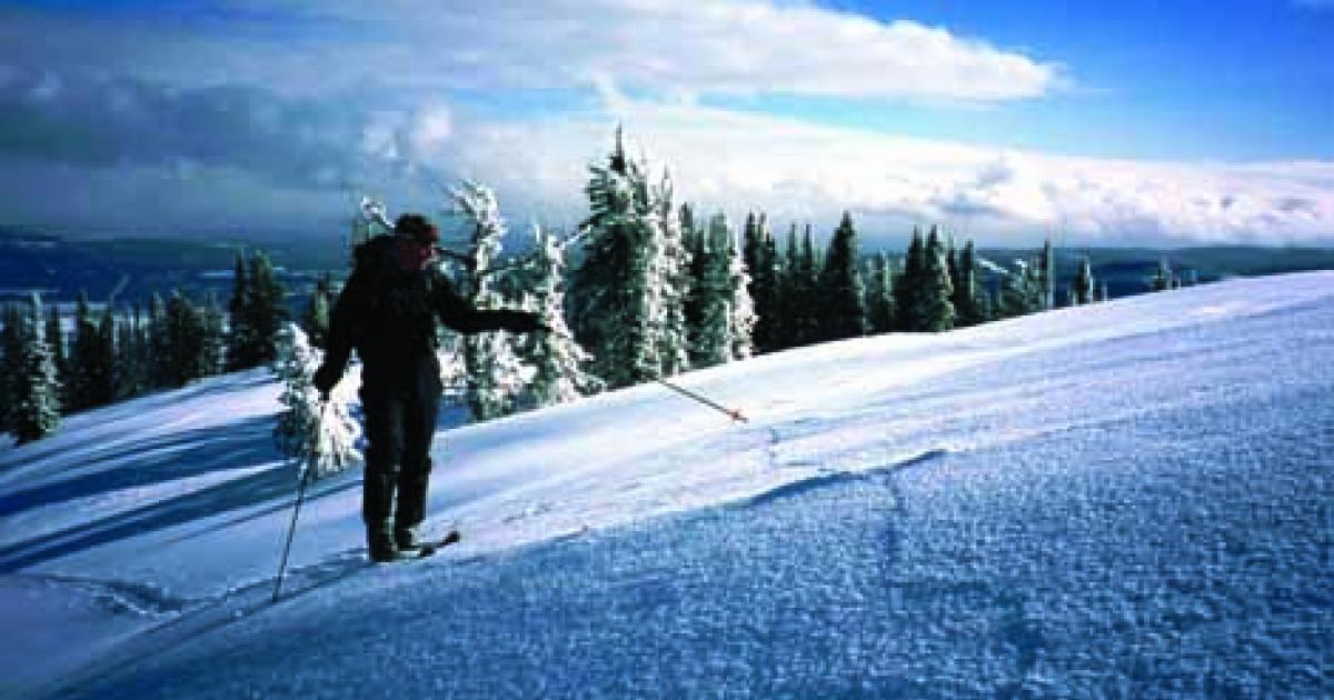 BSF Avalanche Awareness Field Day Outside Bozeman