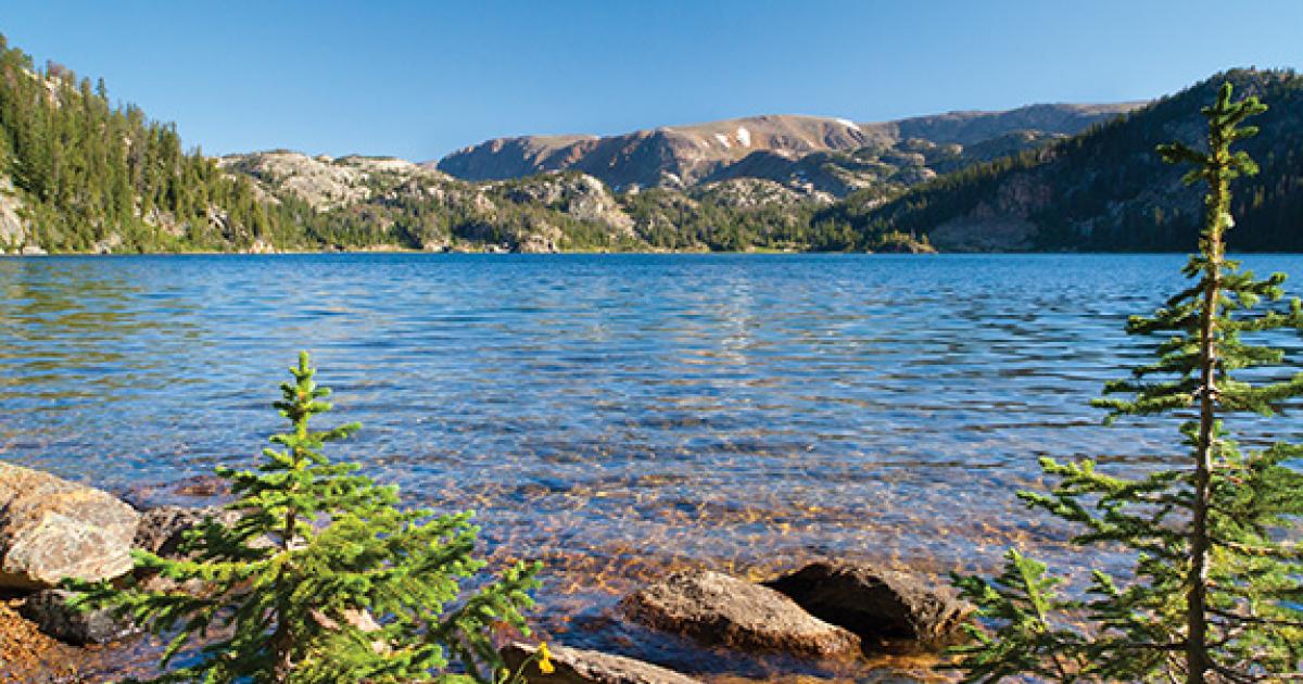 Higher Casting Outside Bozeman