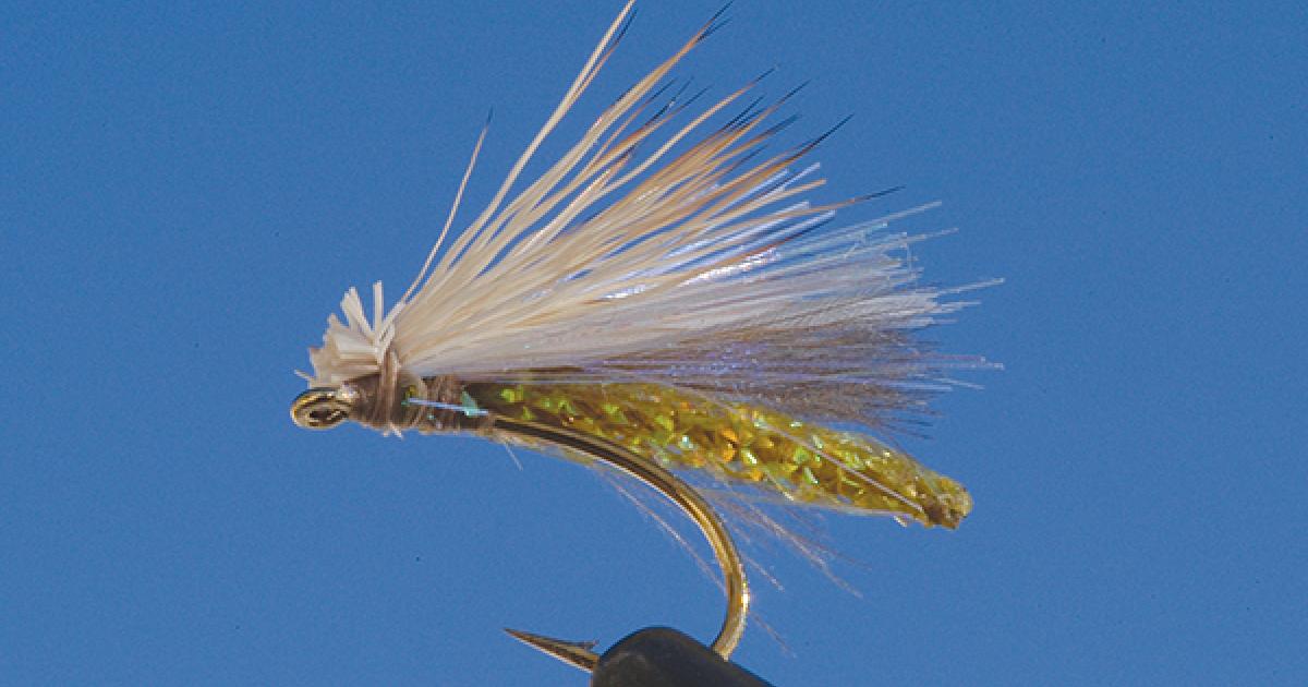 The XFactor Outside Bozeman