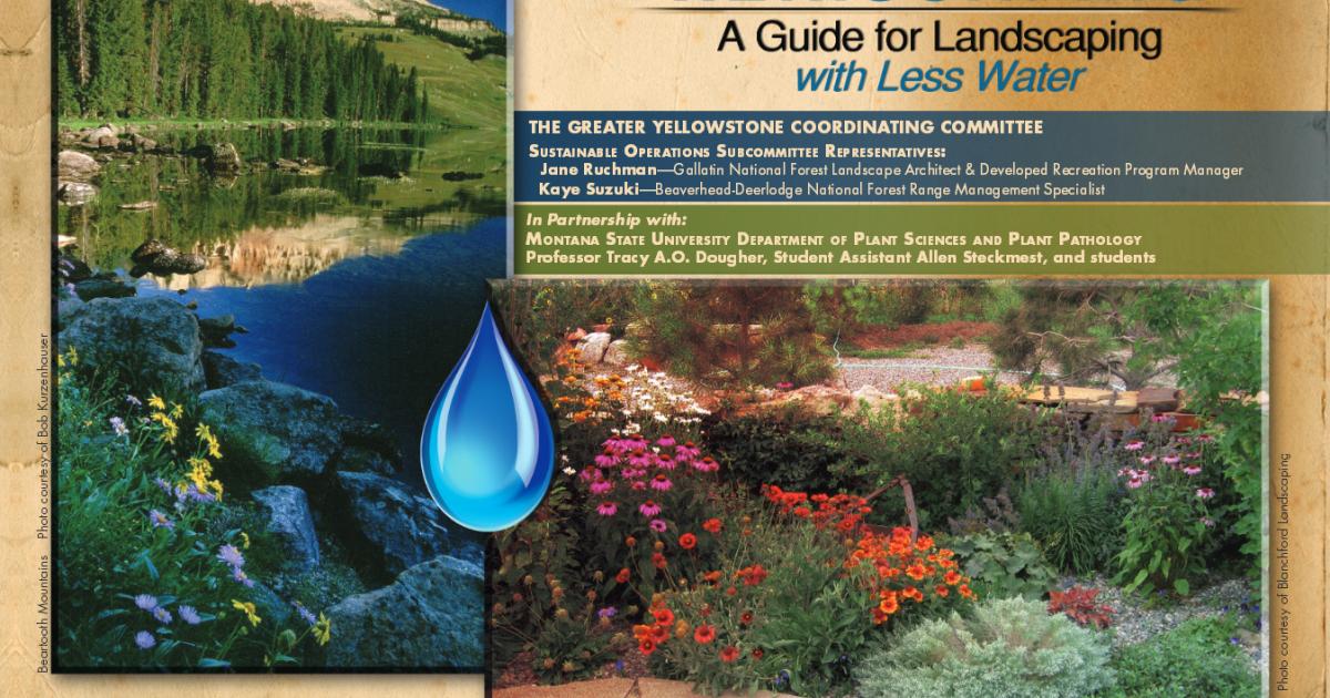 Xeriscaping & Native Plants Outside Bozeman