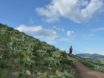 hiking, trails, drinking horse