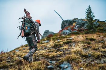 elk hunting, pack out, bull elk