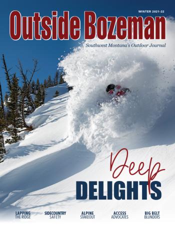 cover, winter