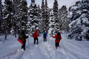 nonprofit, wilderness medical society, nordic skiing