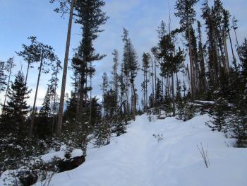 trails, bozeman, winter, hiking