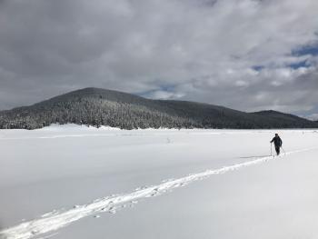 Nordic skiing, cross country, yellowstone national park