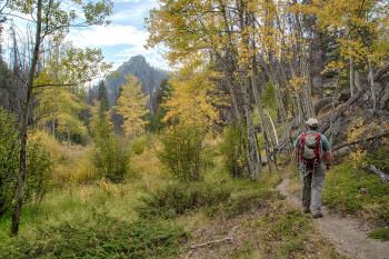 Fall hiking in aspen groves