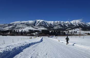 Stone Creek Road bridger canyon bozeman montana