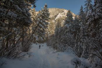 Bear Canyon Trail Winter