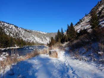 Bear Trap Canyon Trail