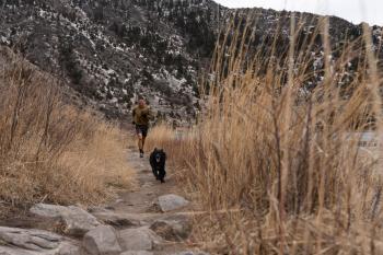 Bear Trap Canyon Trail Winter Running with Dog