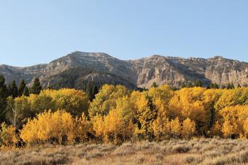 Montana mountains in fall