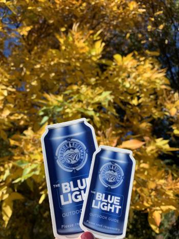 Blue Light Guide Stickers Fall 