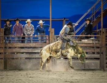 Bull Rider Valley View Rodeo