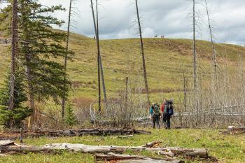 backpacking yellowstone