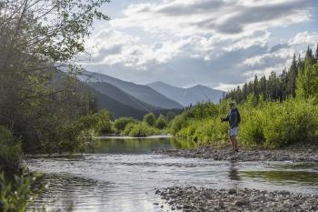 Fly fishing on the banks of the Middle Fork of the Flathead