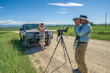 Bird watching in the Gllatin Valley
