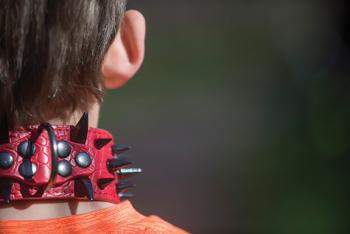 Cougar-collars, Bozeman, cougars