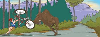 Moose, Mountain Biking, Moser Creek