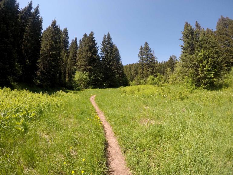 Bear Canyon Trail Outside Bozeman