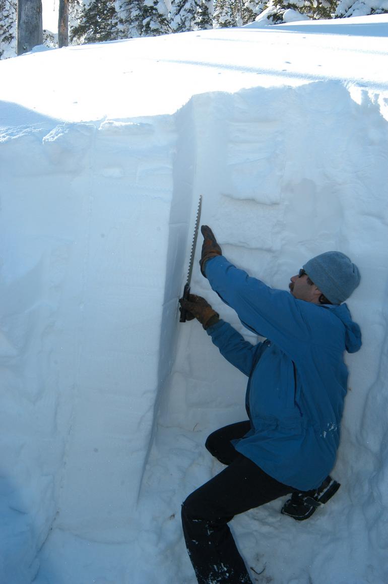 Sizing up Spring Corn | Outside Bozeman