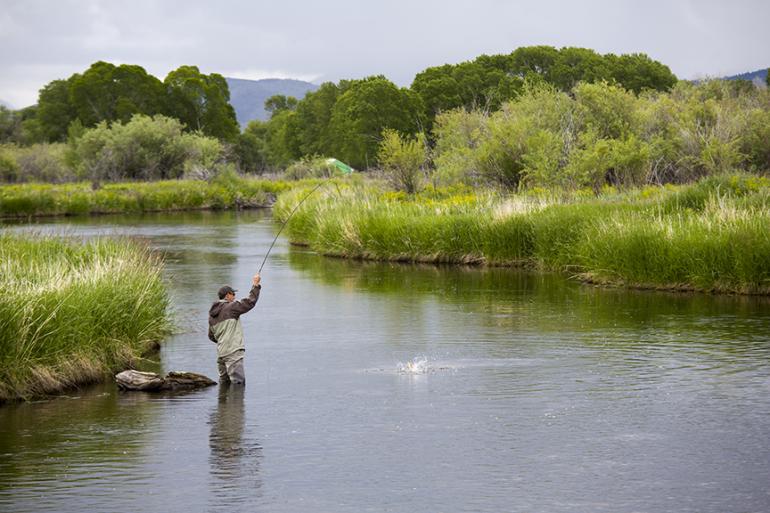 photo by Simon Peterson fishing, trout, river
