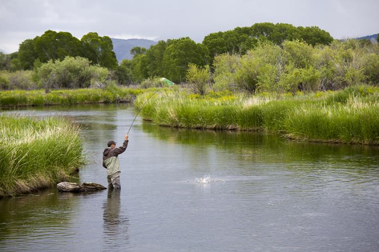 fishing, trout, river