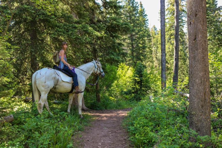 hiking, trails, horseback riding