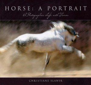 horse: a portrait outside bozeman review