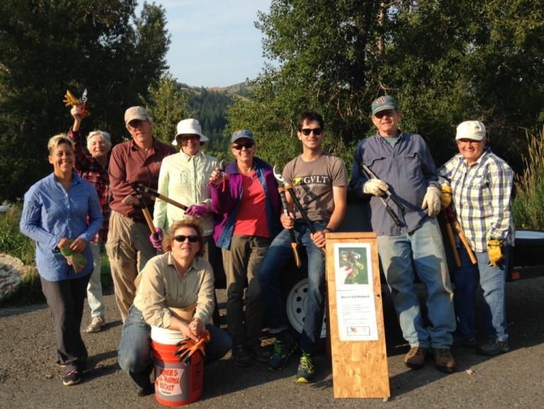 burdock, volunteer, sacajawea audubon society