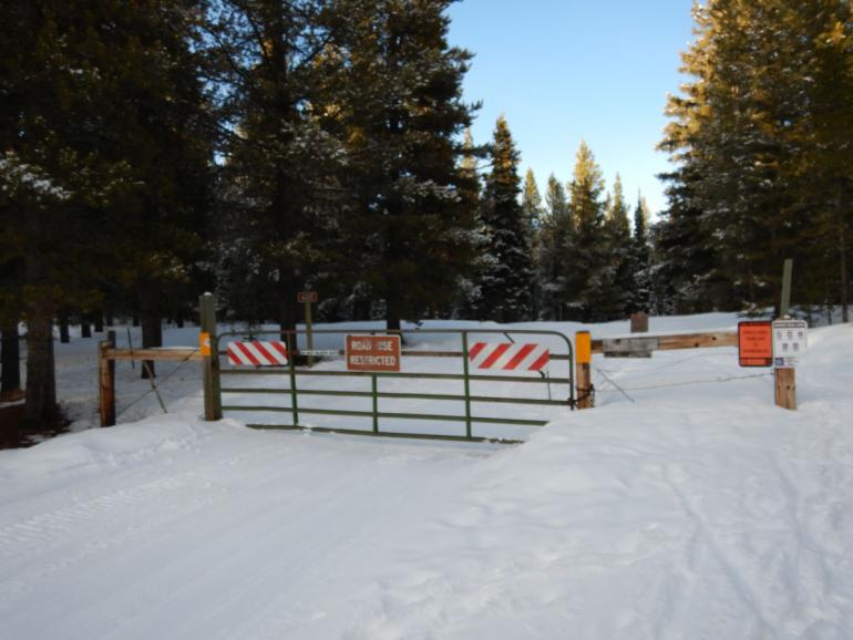 winter, moser creek, trails, nordic, xc skiing