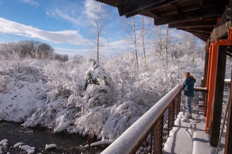 trails, bozeman, winter, hiking