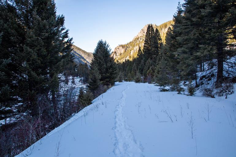 trails, winter, gallatin canyon, hiking