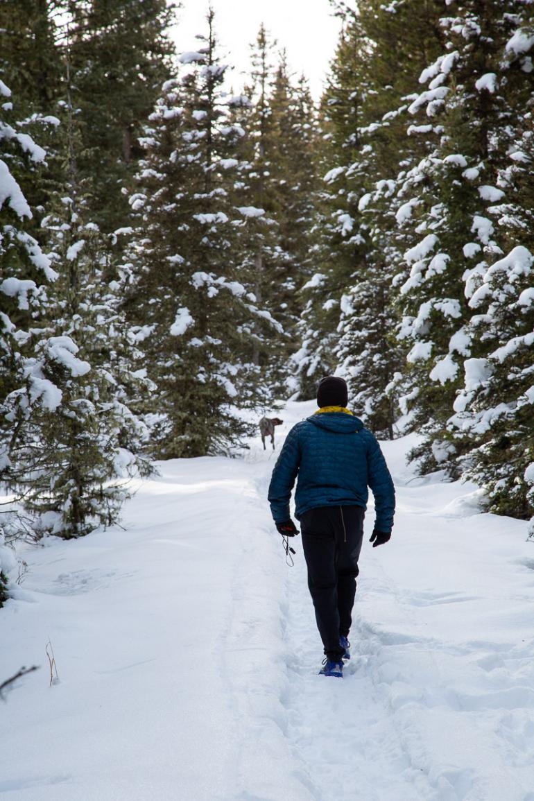 hiking, winter, hyalite