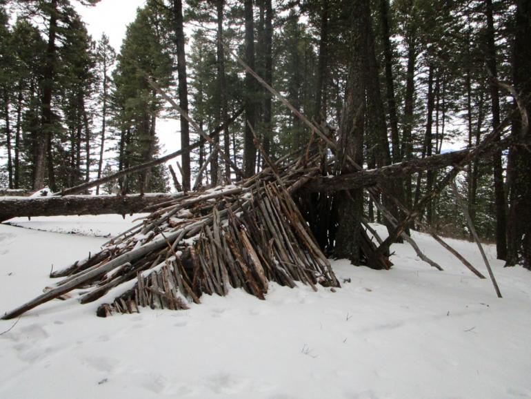 hiking, bozeman, winter, trails