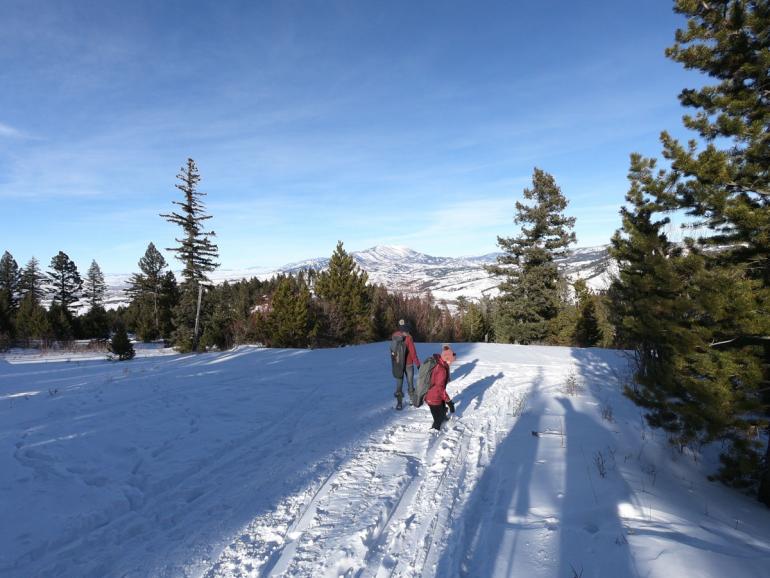 ski touring, trails, winter, bozeman