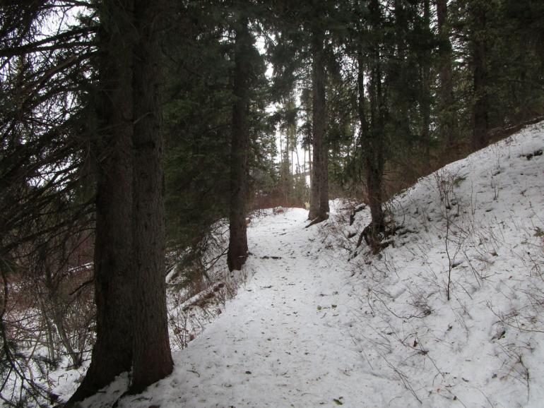 hiking, winter, trails, bozeman