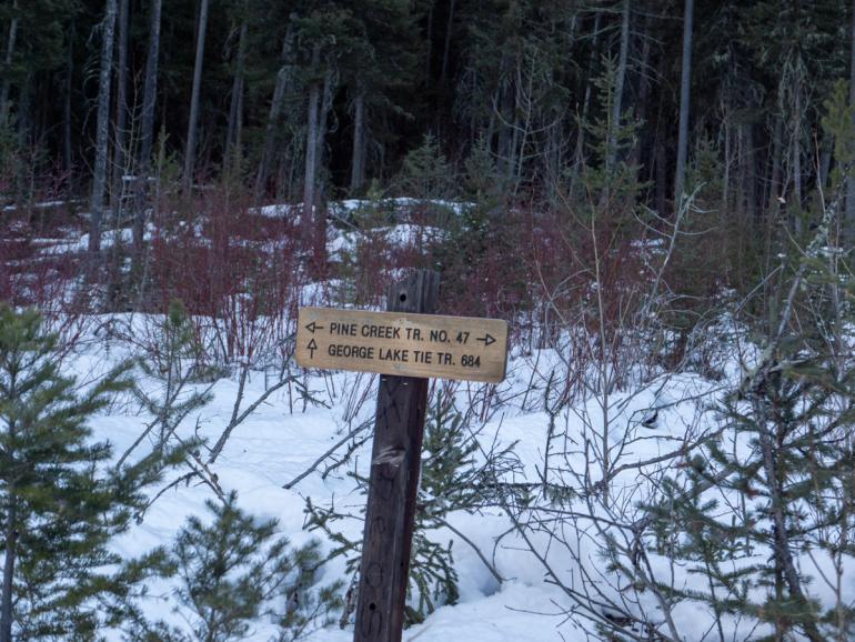 trails, winter, paradise valley, hiking, absaroka-beartooth wilderness