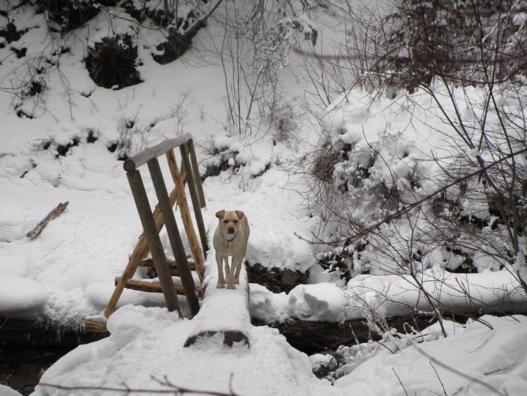 hiking, bozeman, trails, winter