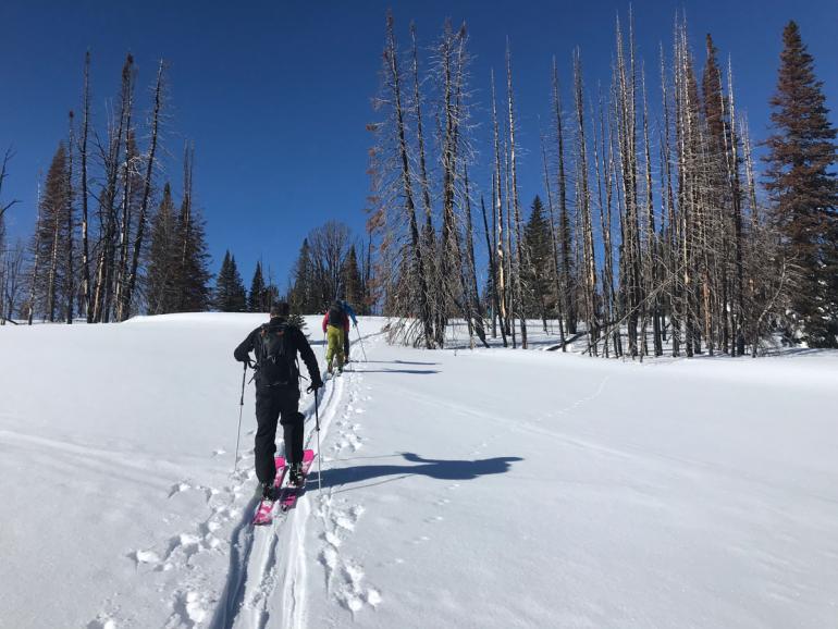 ski touring, backcountry skiing, yellowstone national park