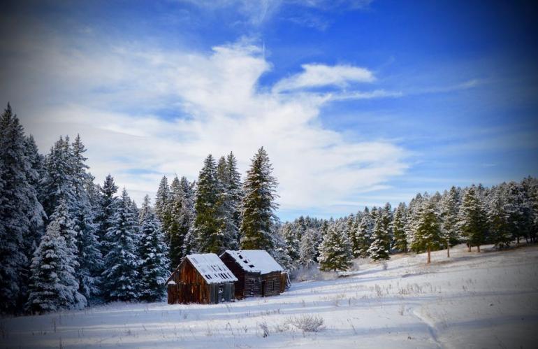 cabins, winter, tails, bear canyon